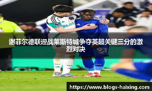 谢菲尔德联迎战莱斯特城争夺英超关键三分的激烈对决